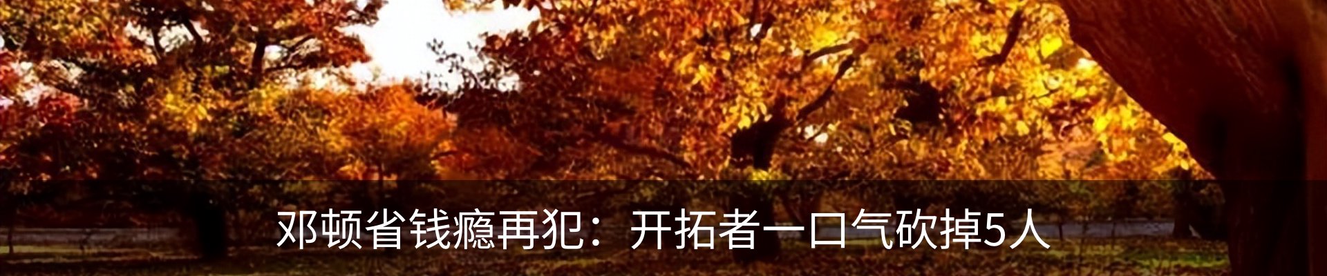内页banner